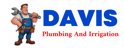 Trusted plumber in SLEEPY EYE